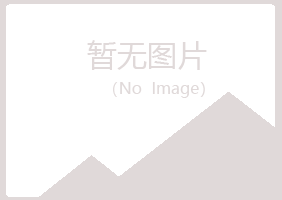 青岛黄岛迷失电讯有限公司